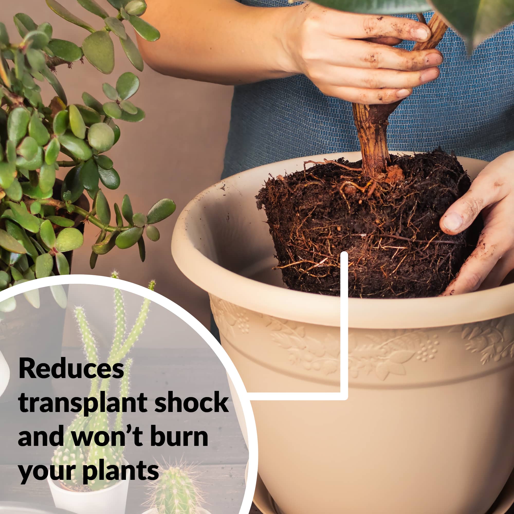 Reduces transplant shock and won't burn your plants